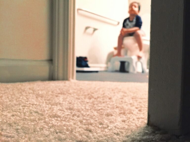 potty training journey